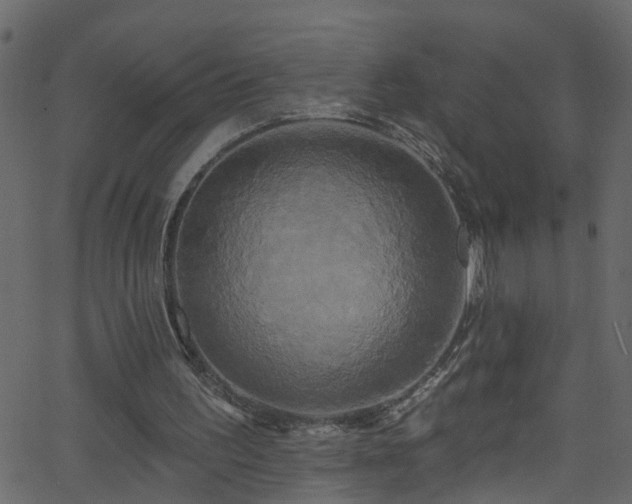 X0000068770195200605011035