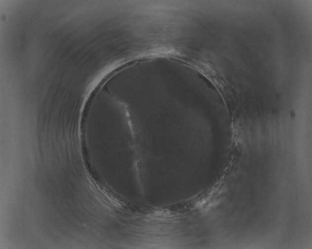 X0000068770196200605011035