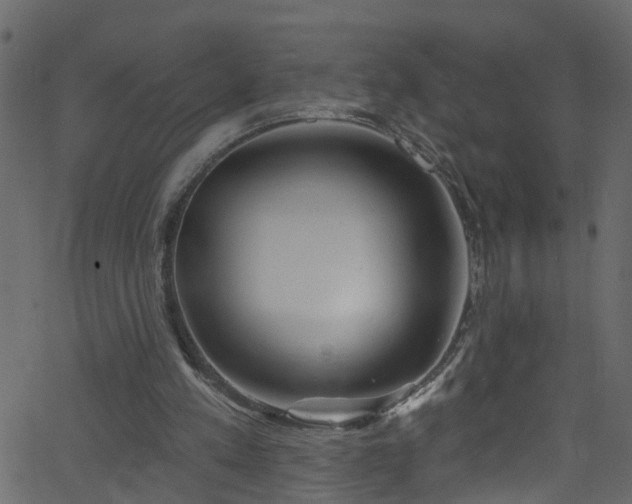 X0000068770197200605011035