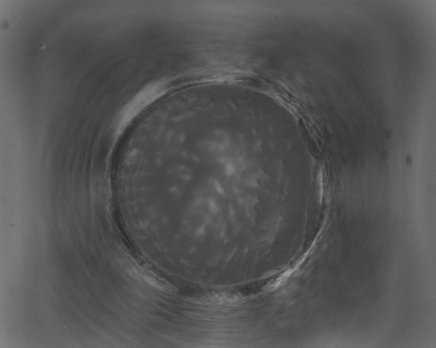 X0000068770198200605011035