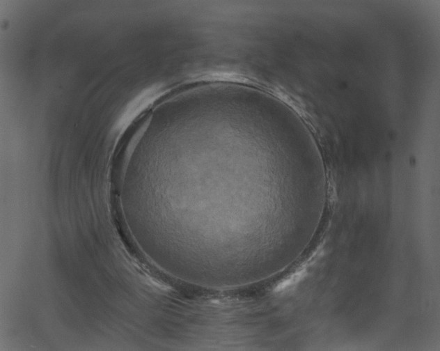 X0000068770199200605011035