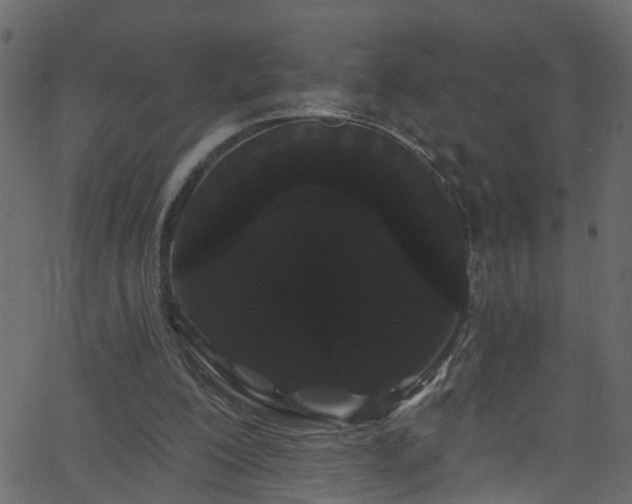 X0000068770200200605011035