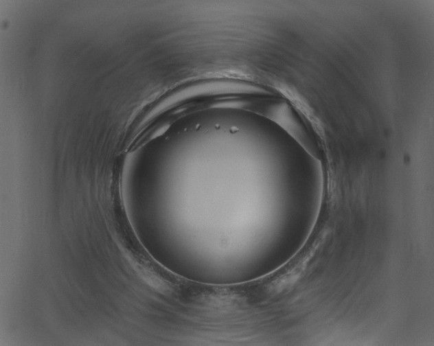 X0000068770201200605011035