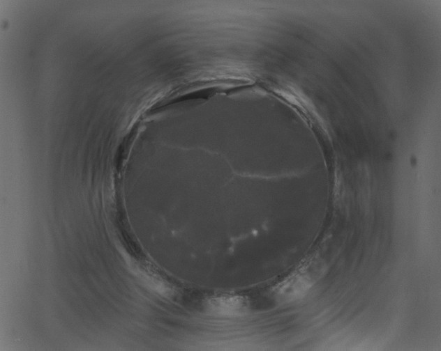 X0000068770202200605011035