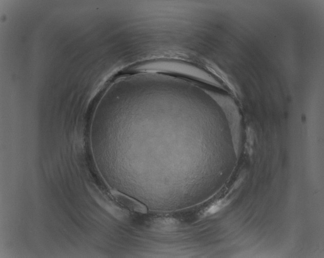 X0000068770203200605011035