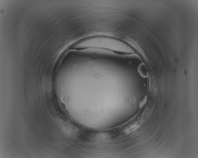 X0000068770204200605011035