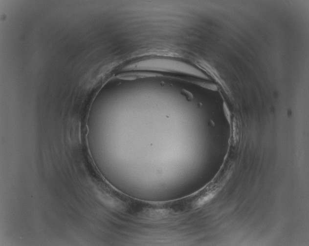 X0000068770205200605011035