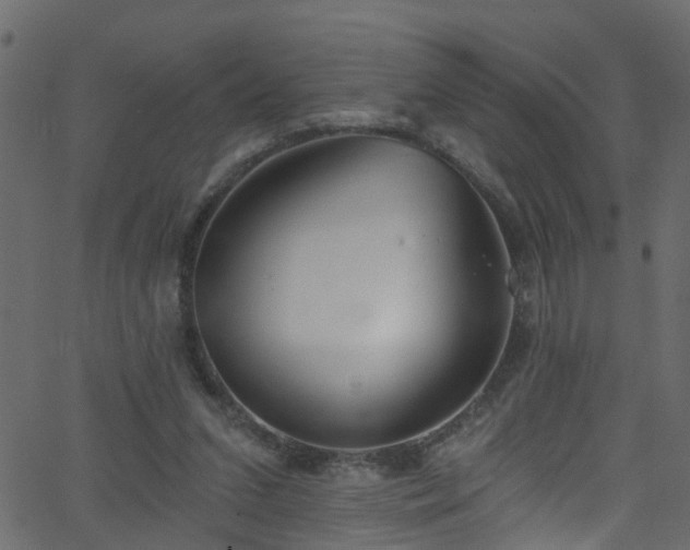 X0000068770207200605011035