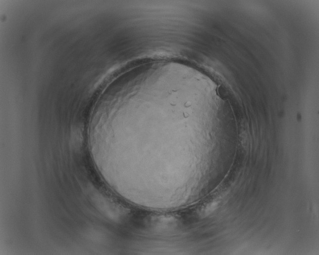 X0000068770208200605011035