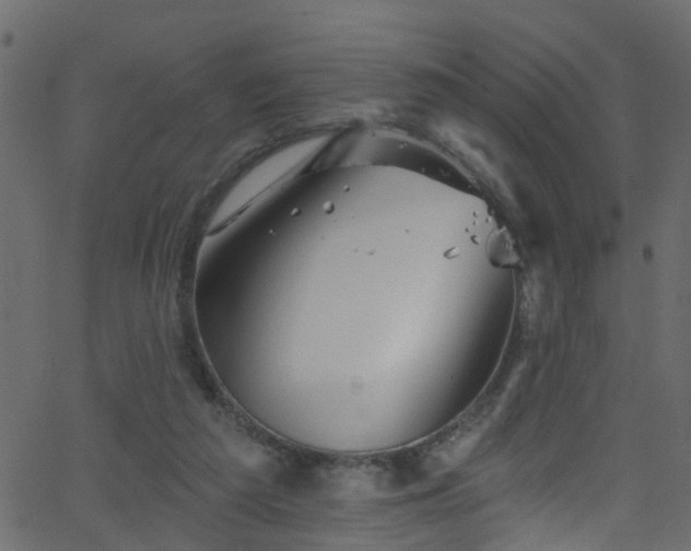 X0000068770209200605011035