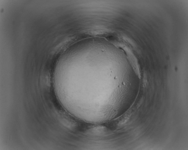 X0000068770210200605011035