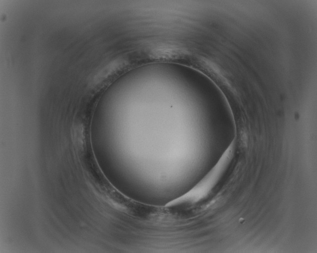 X0000068770211200605011035