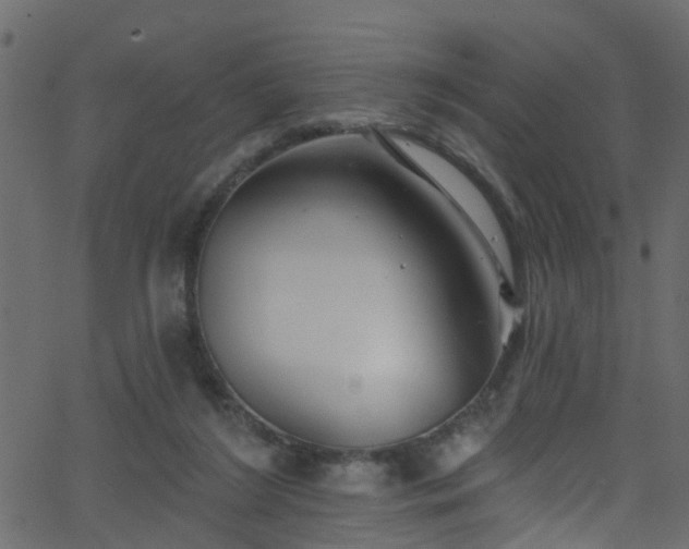 X0000068770212200605011035