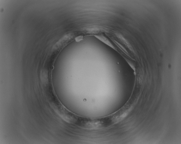 X0000068770213200605011035