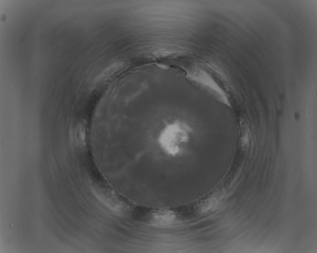 X0000068770214200605011035