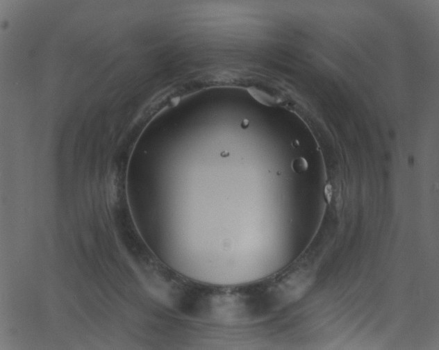 X0000068770216200605011035