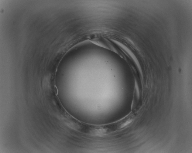 X0000068770217200605011035