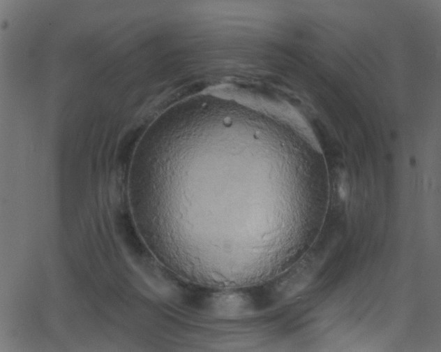 X0000068770218200605011035