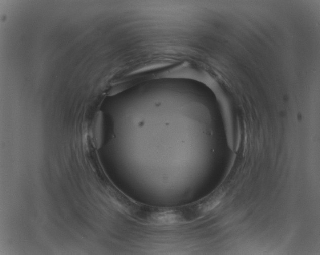 X0000068770219200605011035