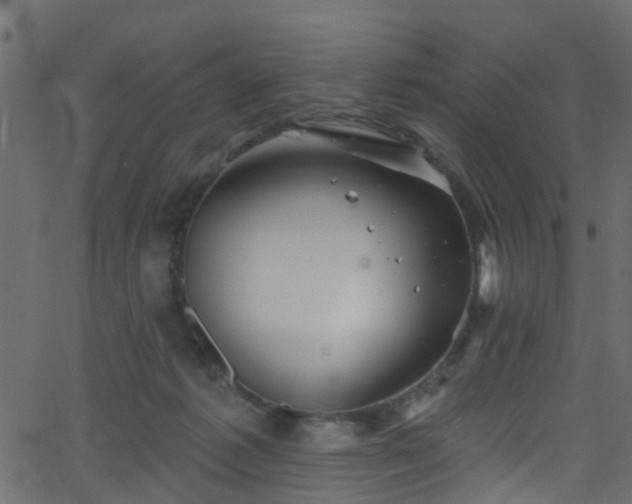 X0000068770221200605011035