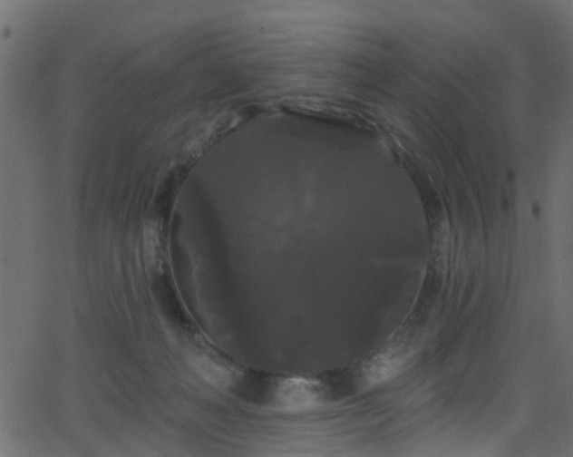 X0000068770222200605011035