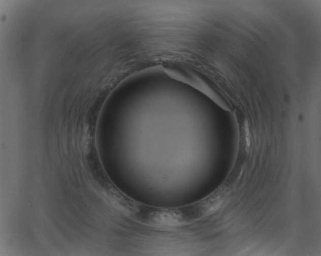 X0000068770223200605011035