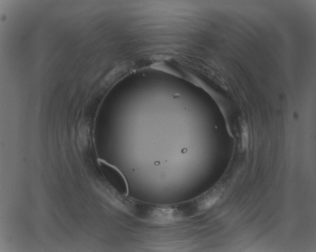 X0000068770227200605011035