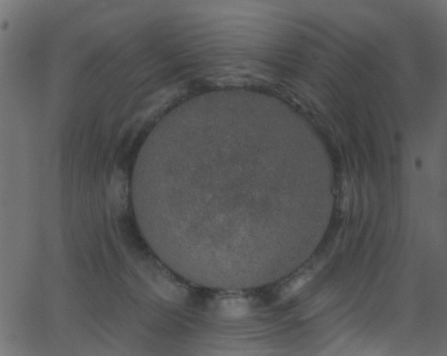 X0000068770228200605011035