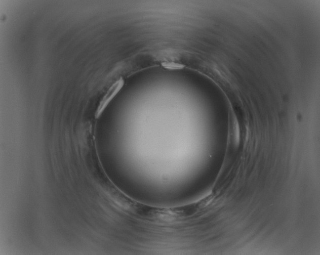 X0000068770229200605011035