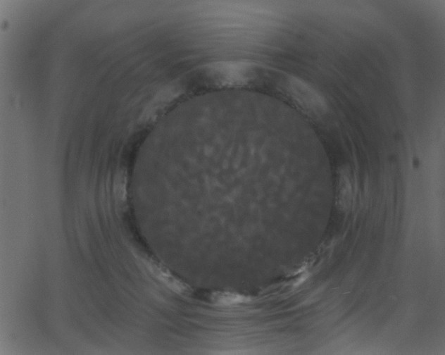 X0000068770230200605011035