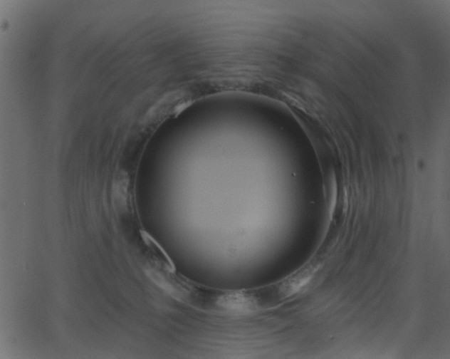 X0000068770231200605011035