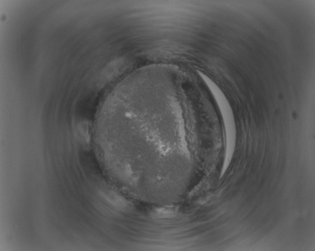 X0000068770232200605011035