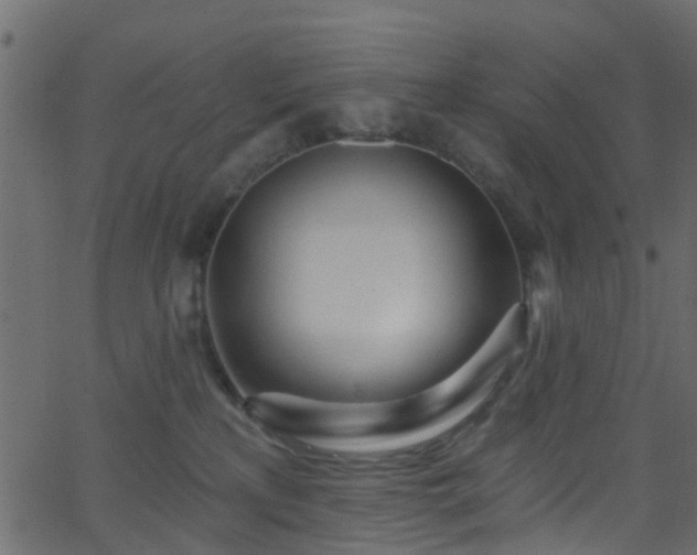 X0000068770233200605011035