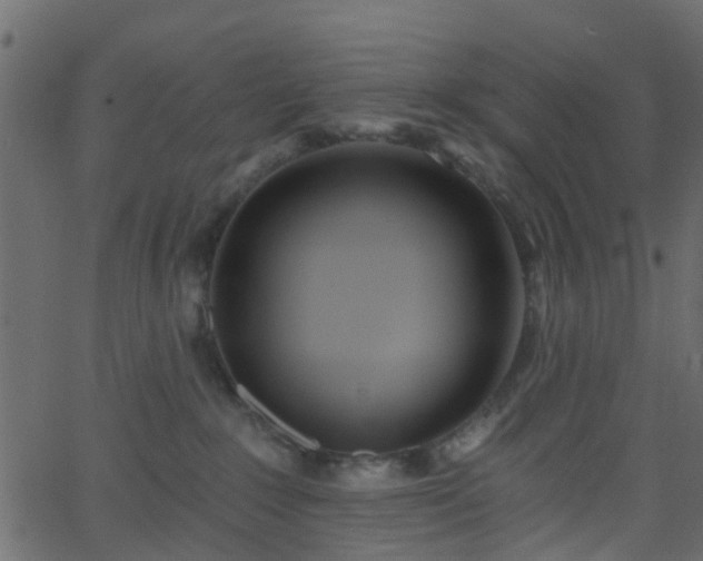 X0000068770235200605011035