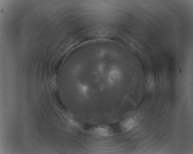 X0000068770236200605011035