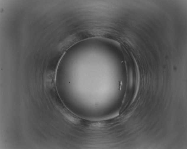 X0000068770237200605011035