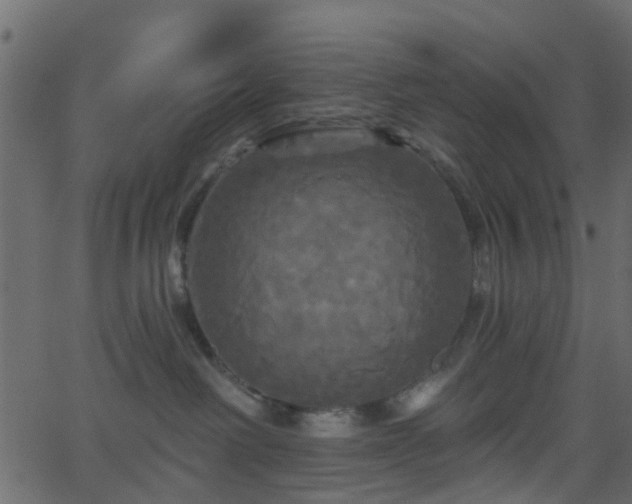 X0000068770238200605011035