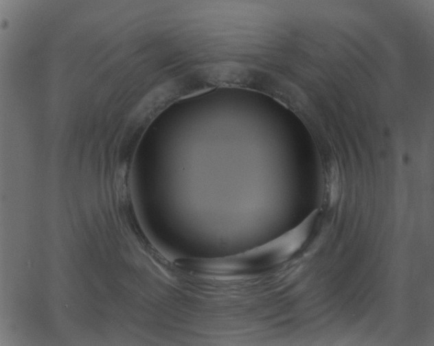 X0000068770239200605011035