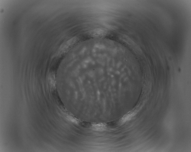 X0000068770240200605011035