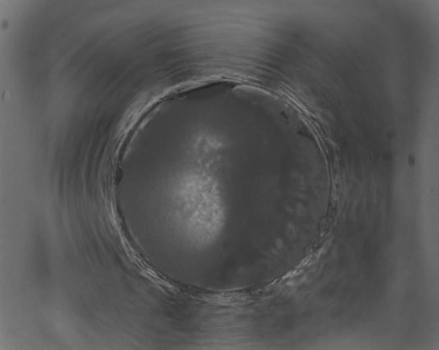 X0000068770241200605011034