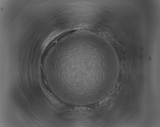 X0000068770242200605011034