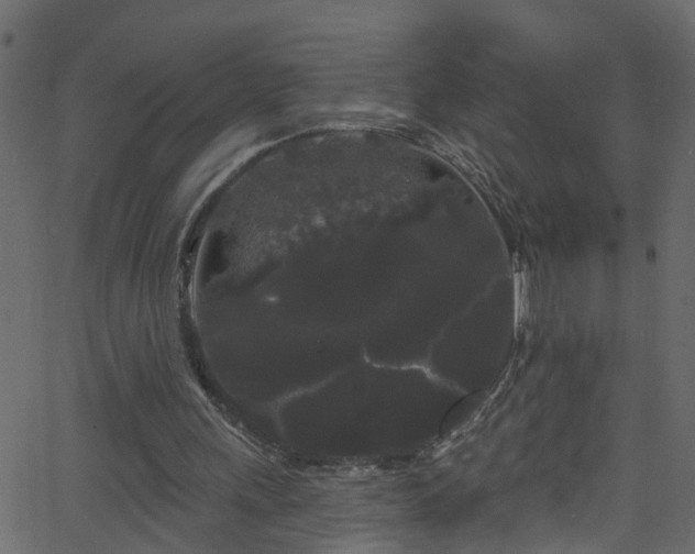 X0000068770243200605011034