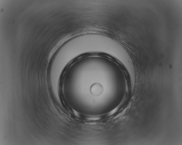 X0000068770244200605011034