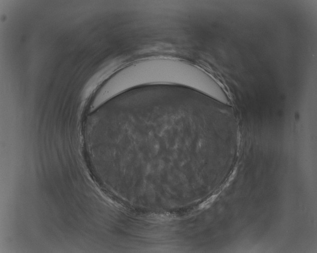 X0000068770245200605011034