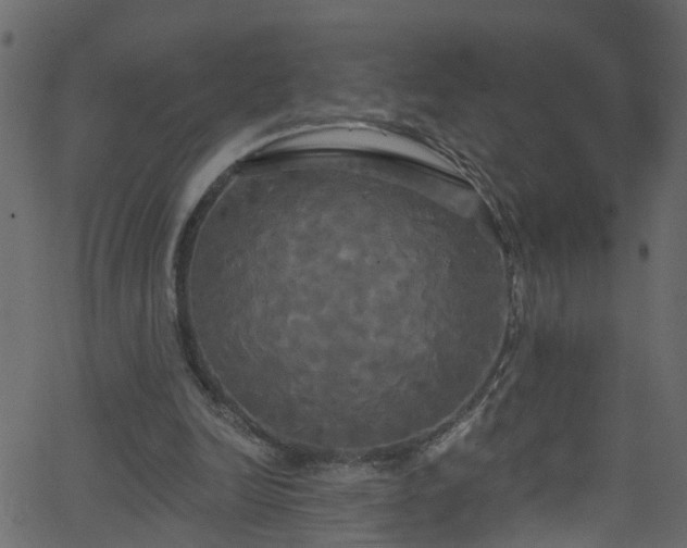 X0000068770246200605011034