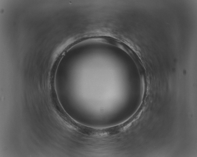 X0000068770248200605011034