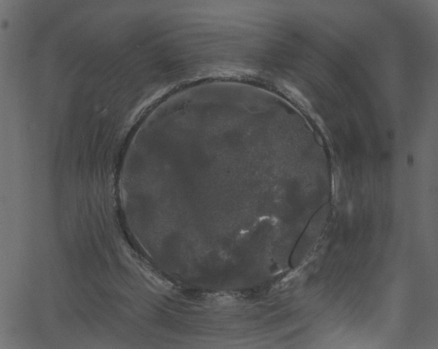 X0000068770249200605011034