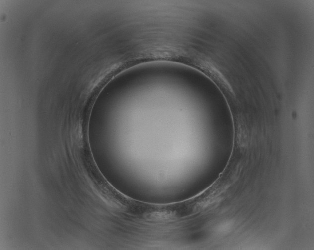 X0000068770251200605011034