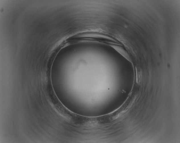 X0000068770252200605011034