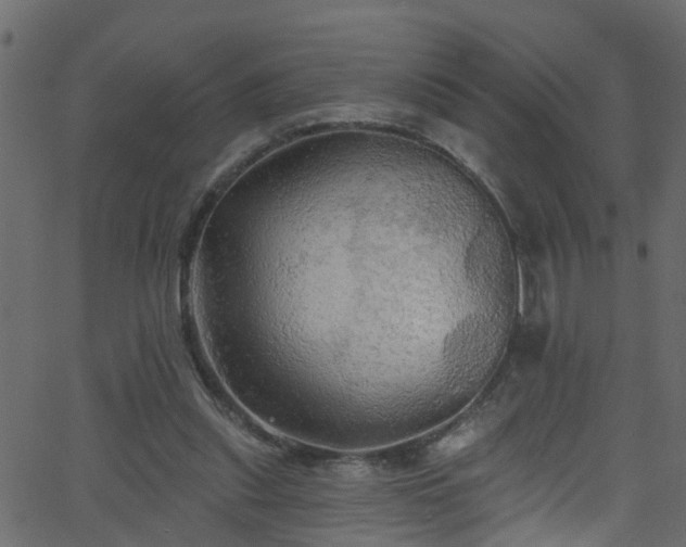 X0000068770253200605011034